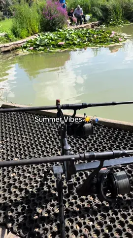 Summer Fishing Vibes! 😎☀️🎣 #fyp #foryou #foryoupage #fishing #fishinglife #fishtok #angler #carpfishing #nayzofishing #viral 