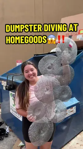 Dumpster Diving at Homegoods, Ulta and Michaels😱‼️ found so much home decor🤗🤗 #dumpsterdiving #usa #dumpsterdiver #homegoodsfinds #homegoodshaul #ultabeauty #dumpsterdiving #florida #northcarolina #meldidumpsterdive 