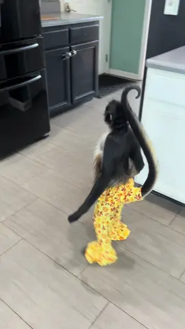 ✌🏼🌻 #moonwalk #fashionista #reflection #funny #animallovers #personality #fyp 