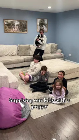 Safe to say they love him 🐶🥰 #puppy #bernesemountaindog #family #parents 