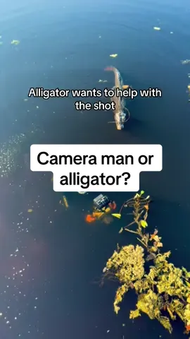 He’s an expert with the camera 📸#animalsoftiktok #wholesome #aww #fyp #foryoupage #wow 