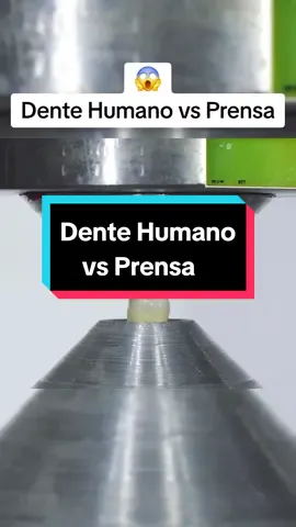 Dente Humano vs Prensa Hidráulica #curiosidades #fatoscuriosos #experimento #fatos #tecnologia 