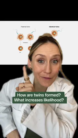 How are twins formed, and what increases the likelihood of twins? #pregnant #pregnancy #pregnanttiktok #pregnanttiktok   