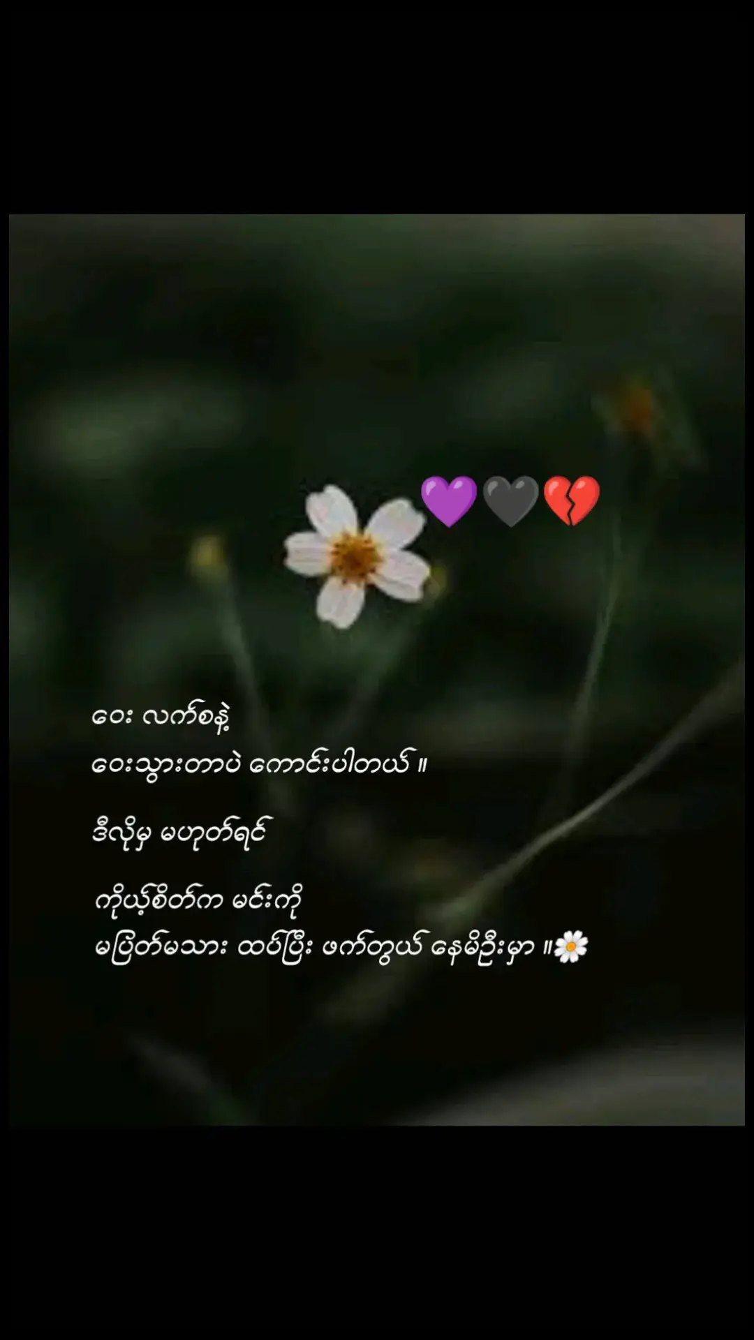 #💔🥀 #ဝေး လက်စနဲ့ ဝေးသွားတာပဲကောင်းပါတယ်...#crdစာသား #fypシ #fyp #foryou #fypシ゚viral #fypシシ 