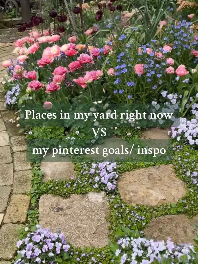 My winter yard is looking so sad  #chickensoftiktoks #yard #yardgoals #hatchingchicks #chickencoop #backyardgoals #spring #pinterest #pinterestinspo  @Cassey Bly | SAHM 