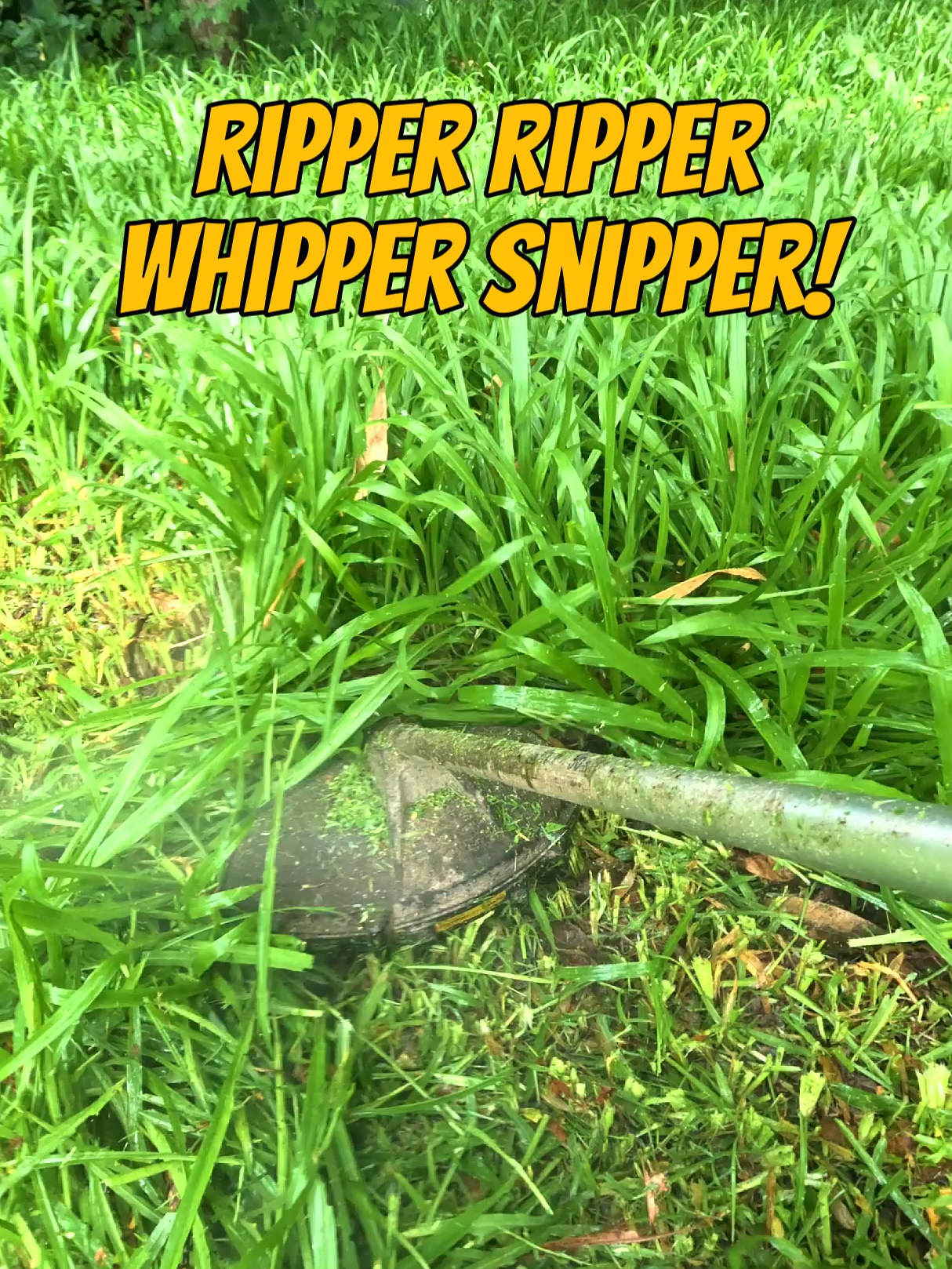 Whipper Snipper Magic! 😁✂️🌱 Why did the whipper snipper break up with the lawnmower? Because it couldn't handle the constant string of attachments! 🤔 @vintagefoodfarm #yardwork #tropicalfruit #fnq #grass #mowing #lawnmowing #cuttinggrass #tools #tropics #fun #selfsufficient #herbs #veggiegarden #whippersnipper #cairns #lawncare #silly #lawn #homestead #speewah #vintagefoodfarm #powertools #gardening #asmr #satisfying #joke #fun #cutting #gardening