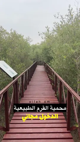 هل زرت #محمية_القرم_الطبيعية من قبل 😍 . . ‏@olfah_om  #سياحة #طبيعة #طيور #عمان #مسقط #اكسبلور 