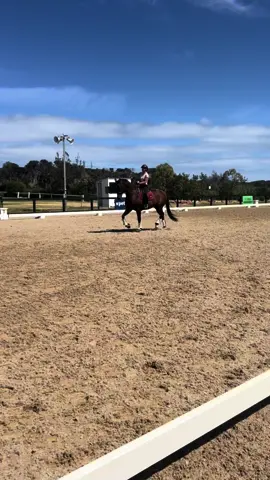 Mariah Kaminski & Linton Street preparing for this weekends Boneo Park Off The Track Dressage Elementary Series 🐴  Mariah & Linton competed in last years series and secured the Off The Track Novice Series Champion award 🥳 Best of luck to all competitors competing across the weekend 🙌