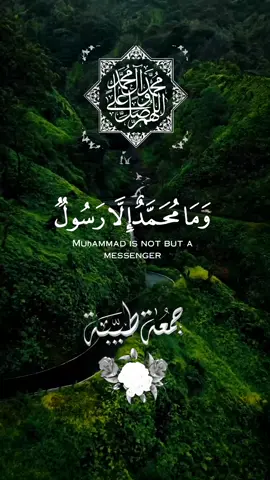 #وما_محمد_إلا_رسول_قد_خلت_من_قبله_الرسل #اللهم_صل_وسلم_على_نبينا_محمد #سورة_ال_عمران #القرآن_نور_للقلوب_وشفاء_للصدور #قرآن_كريم_أرح_قلبك_وسمعك #تلاوة_خاشعه #الحنجرة_الذهبيه #روائع_عبدالباسط_عبدالصمد #القرآن_الكريم🌺🤲 #حسبنا_الله_ونعم_الوكيل 
