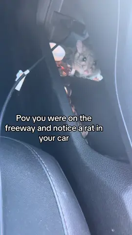 This scenario has never crossed my mind before