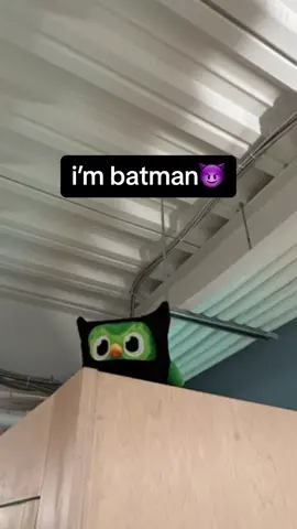 FOR GOTHAM🦇🦇#fyp #duolingo #batman #LanguageLearning 