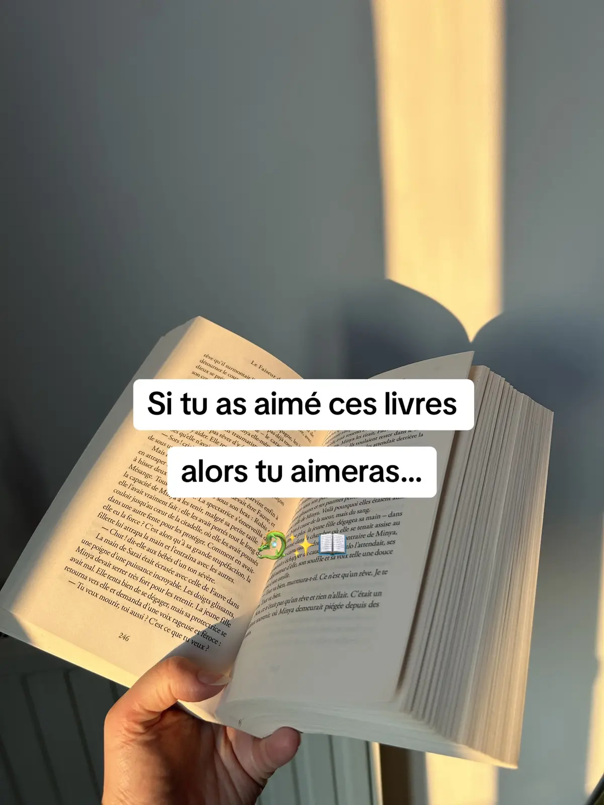 Petite reco de livres 📖🐉 #recommandationlivre #livrefantasy #fourthwing #lapassemiroir 