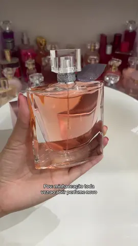 Me deixeee que eu to feliz 😮‍💨 #perfume #perfumetiktok #perfumesdanay #lavieestbelle 