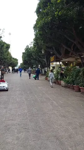 لاكور عنابة الجزء 3 ✅️ مكان عائلي رائع يستاهل الزيارة 👌❤️ #annaba #annaba23 #annaba23🇩🇿 #algeria #algerian #pov #algeria🇩🇿___maroc___tunisie #adembelacel 