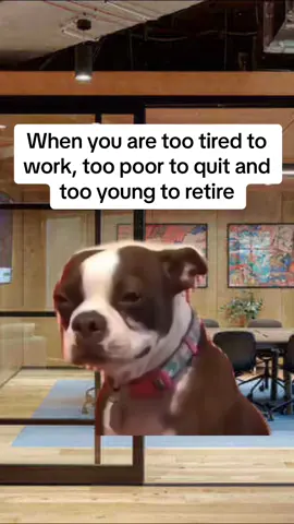 Sad times 😭 #workhumor #worklifebelike #worklifestruggle #worklife #workmemes #funnymemes #memes #tiktokmemes #funny #comedy #workcomedy #workjokes #jokes #fyp #fypシ #fypシ゚viral #humor #memestiktok #humortiktok #relatable #relatablememes  #MemeCut #Meme 