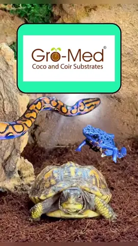 @Gro-Med REPTICARE Reptile Bedding🦎🌿15%OFF & FREE SHIPPING!!!  https://gromed.store #reptile #reptiles #terrarium #vivarium #pet 