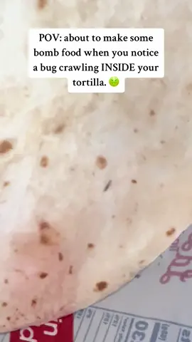 Never eating a tortilla thats not home made again 😭  #food #disgusting #fyp #doritosflatlife #trending #horror #bug #viral #nothanks 