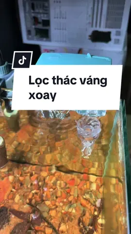 Một em lọc thác tích hợp váng xoay siêu đỉnh #thuỷsinh #thuysinh #trending #xuhướng #cachoithang #bểmini #xuhuongtiktok #cá #xuhuong #bểnuôicá 
