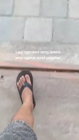 Tak enteni #bojonewong #bojonegoro #jambualas #ngenteni #rondo #pegatan #bojoloro 