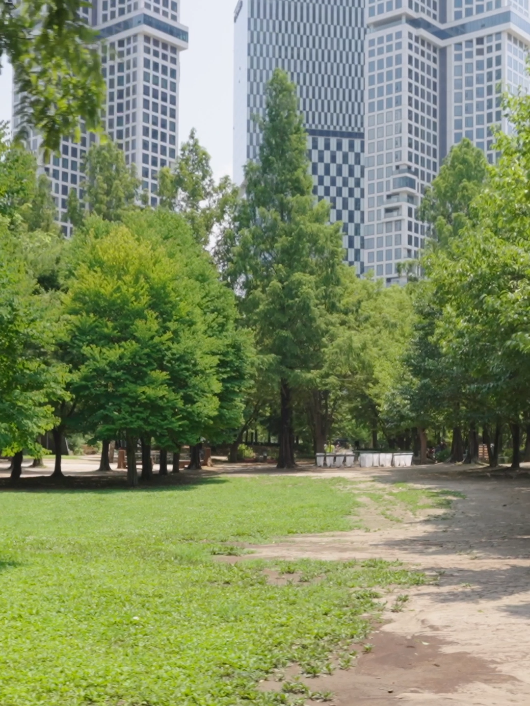 Walking through the green Seoul Forest 🌳 in May from a first-person perspective #mindnook