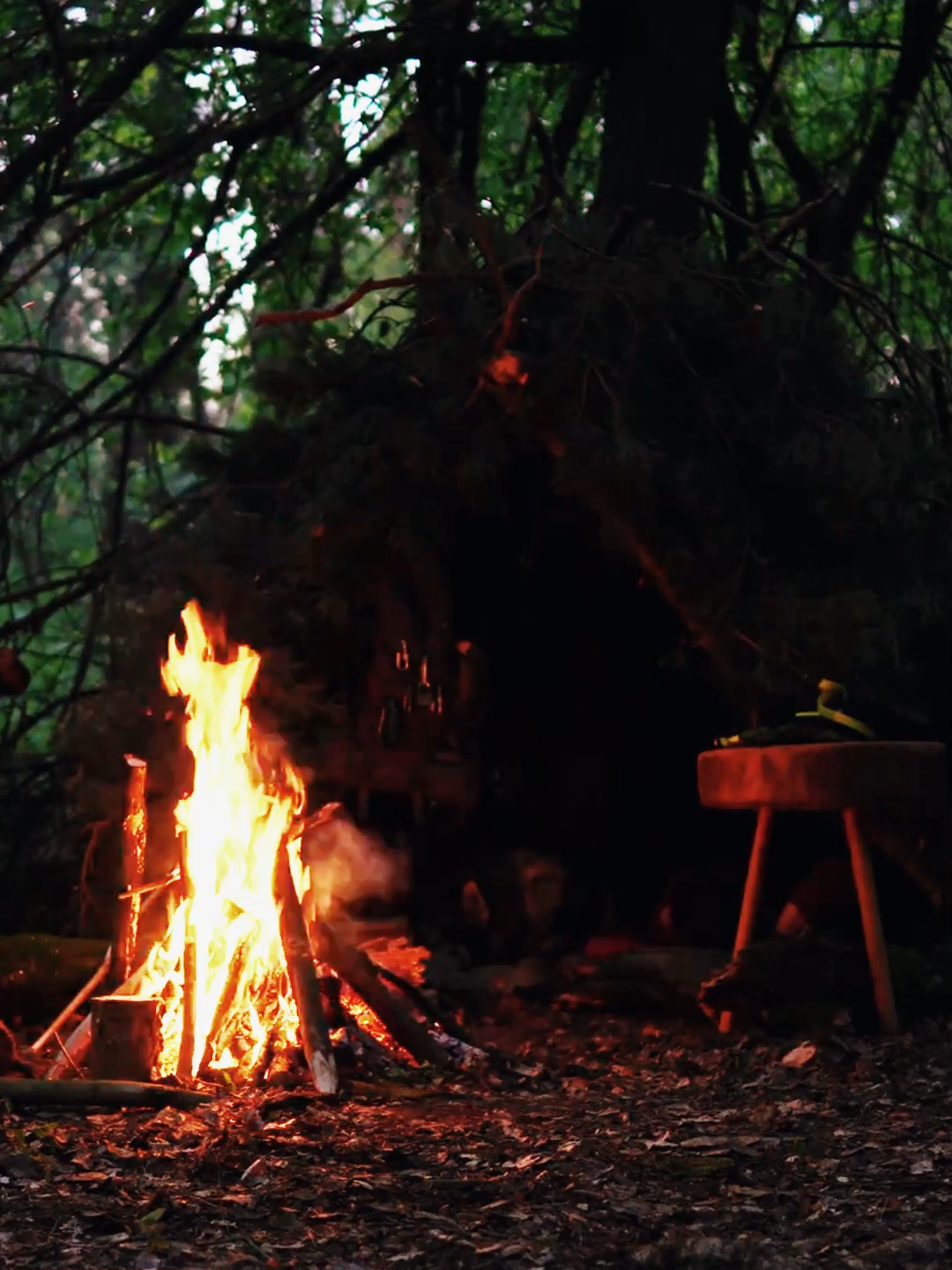 Building a cozy shelter in the forest #bushcrafting  #build  #camping  #ourdoor  #shelter  #survival  #viral  #fyp  #camp  #craftingvisionary