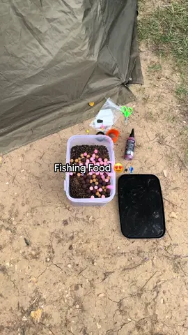 Sometimes it looks so nice.. 🎣🤨 #fyp #foryou #foryoupage #fishing #fishinglife #fishtok #angler #carpfishing #nayzofishing #viral 