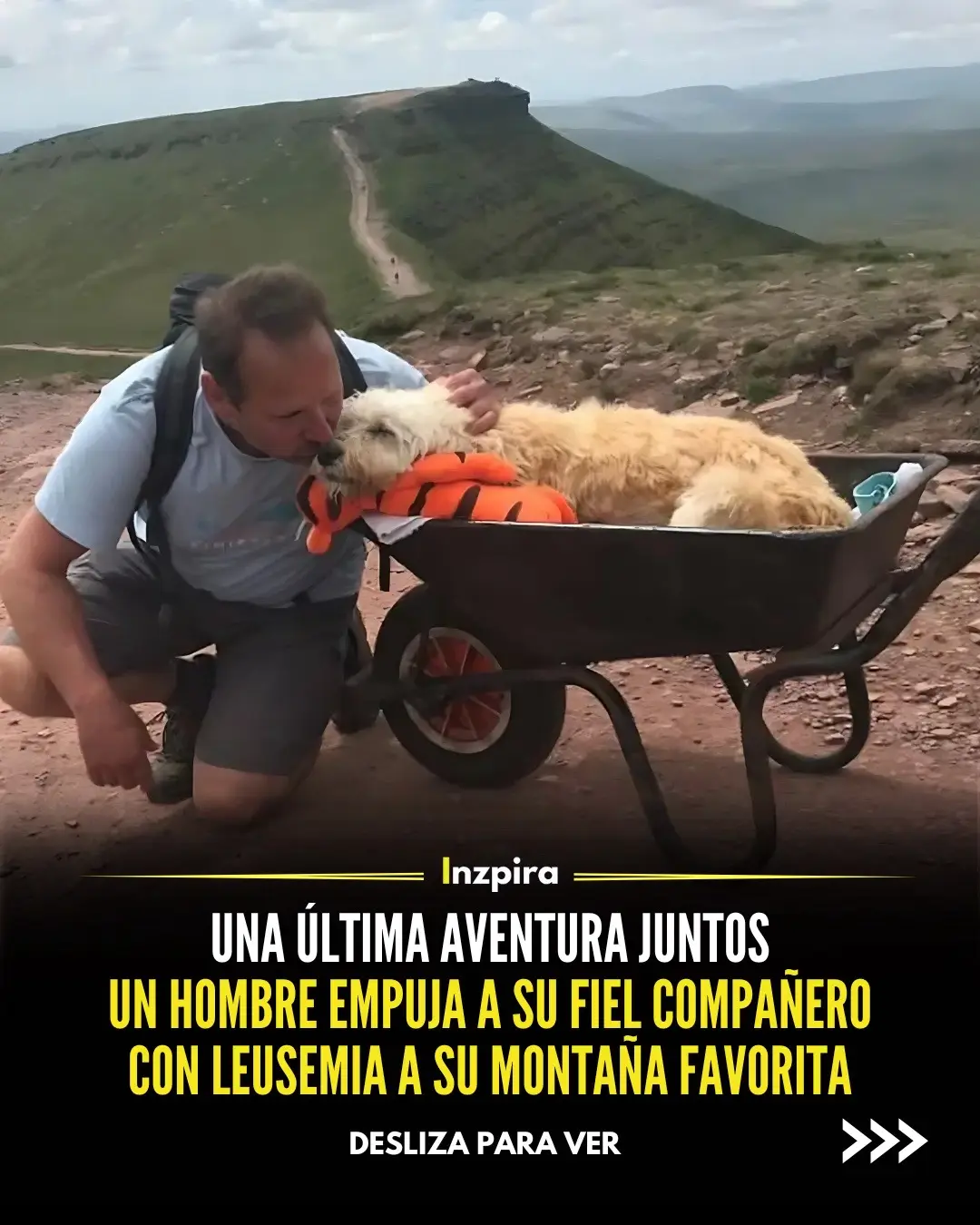 Carlos Fresco, llevó a su fiel compañero Monty, que se estaba muriendo de leucemia, a una última aventura en una carretilla. Monty, a quien le encantaban los paseos, disfrutó del viaje y de la amabilidad de los desconocidos que le ayudaron por el camino. Tras esta alegría, Monty falleció en paz en  casa. Carlos atesoró este último viaje, agradecido por los recuerdos y la oportunidad de despedirse. 📸: Carlos Fresco/ @swns . . #motivacion #historia #inspira #inzpira #doglover #amor #perrito