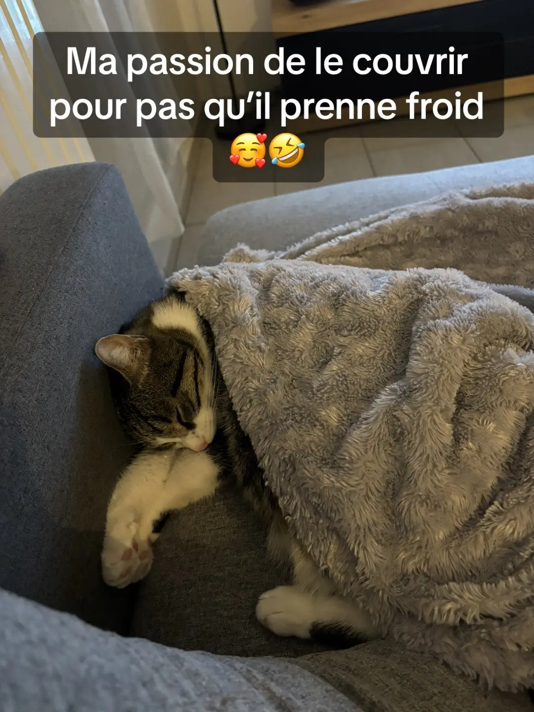 Cest plus fort que moi quand je le vois 🙂🙂🙂 #chaton #chat #amour #bebe 