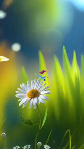 #CapCut #nature #schmetterling #butterfly #butterflies #tiktok #tiktoker #foryouall #dreamerday5 #😍 #😍😍😍😍😍😍😍😍😍😍 #wonderfull #beautifulview #beautiful 