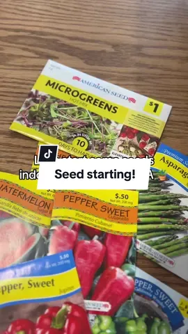 First year gardening! I am very excitied, I 1000% went overboard with the tomatos and peppers BUT my pig and chickens will love some extra veggies #gardeningtiktok #gardening #firsttimegardener #seedstarting #zone6a #gardentok #gardenproject #gardenzone6a 
