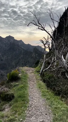 📍Dead Trees Hike: PR1.3 - Vereda da Encumeada 🚶‍♂️✨ 🎬 YouTube Premiere 09.03.2024 👉🏼 link in Bio 🔗 Embark on a 15-km journey through the heart of Madeira’s mountain ridges with the less-traveled trail, PR1.3 - Vereda da Encumeada. Starting from Achada da Teixeira, this hike takes you on an exhilarating ascent to Pico Ruivo and beyond. 🌄 Experience the magic as you navigate through mysterious tunnels of dead trees, unveiling breathtaking views of both the north and south of the island. Every step is a new discovery, immersing you in the unique spirit of Madeira’s wild beauty. 🍃 Don’t miss out my YouTube Premiere 👉🏼 repeat in person this unforgettable adventure! In partnership with: @madeira_drone_ilya  #MadeiraHikes #Encumeada #MountainMagic #DiscoverMadeira #HikingAdventure #HikingMadeira #PicoRuivo #MountainTrails #NatureExploration #TrailBlazing #OutdoorAdventure #HikingWorldwide #ExploreNature #WildTrail #OutdoorExplorers #HikingViews #AdventureLife #HikingCommunity #TrailBlazer 