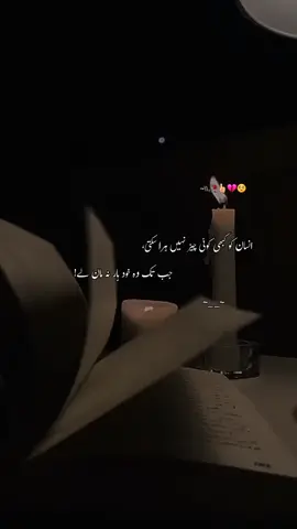 Guesss whose lines are these👍🏻🥀📚 #novel #lines #motivation #foryou #status #trending #fypシ 