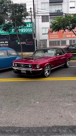 🏎️ THE FORD MUSTANG 🐎 🇺🇸 🎥🎬 : Hamza Bouberbouche  #ClassicCars #MuscleCars #CLSCARS #ForYouExplore #VintageCars  #Dreamcars #ClassicCarCulture #HotRod #AmericanMuscle #CarCollector #ClassicCarLover #MuscleCarLover #CarHistory #OldSchoolCars #CarMods #clscarsmizou 
