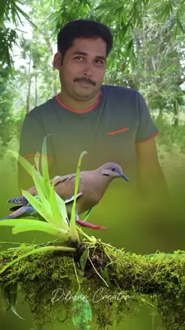 are you #হলুদিয়া পাখি 