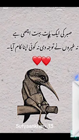 #fypシ #foryoupage #pakistan #uk 