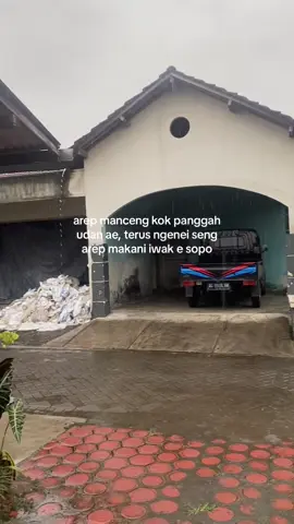 pye kok panggah udan iki hoeee #storywa #storymancing #mancingmania 