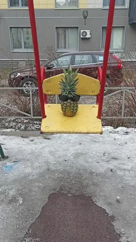 Ананас #ананас 
