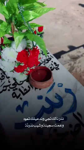 انذر عمري الج اذا تعودين 💔💔#مابقه شيي منج غير بس قبرج نروحح ونتأملج بيه شتاقيتلج يروحي زينب والله اتمنى حلم وصحه منه😔🤲🏻#فاقده_اخت🥀💔 #فقيدتي #اختي #زينب #كسرتينه_ابموتج #اكسبلورexplore #fyp #💔 #ترندات_تيك_توك #CapCut 