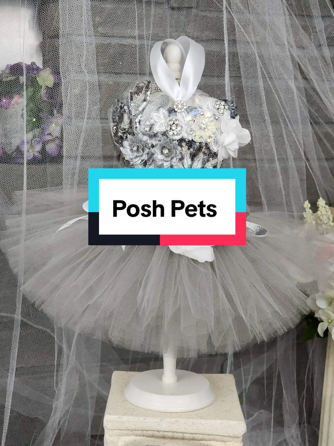 My hand made luxury pet line, this is Venus my white apple head chihuahua modeling my ice princess tutu dress with jewels #dogsoftiktok #cutedogs #cristinabruno #dogdress #poshpets #petlover #chihuahua #chihuahuastiktok 