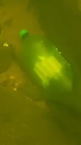 #underwater #treasure #tiktokusa 