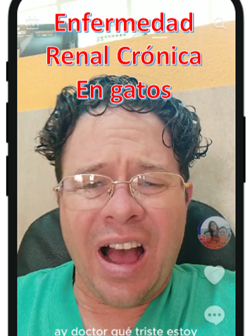 Enfermedad Renal Crónica, lo que tu médico no te dijo y lo que deberias saber para que tu gaticto viva más. #catsoftiktok #catlover #ERC #saludanimalveterinarias🐴🐄🐂🐑🐖🐱 #onehealth #gatos #gatosdetiktok #gatosdelmundo #gatosamorosos❤