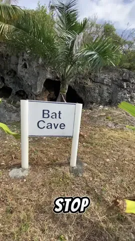 Spend a day with me!#batcave🦇 