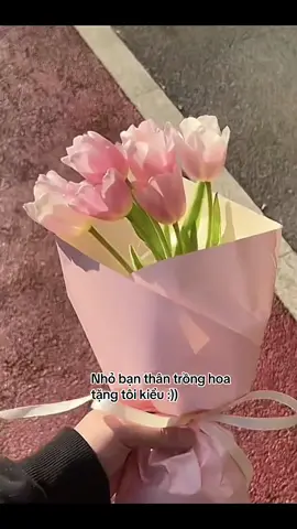 #simonstore #trending #foryou #viral #xuhuongtiktok 