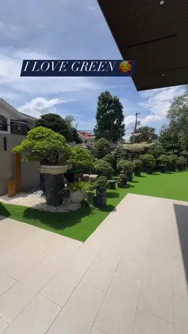 Impian para penghobi bonsai ,termasuk aku juga  punya halaman rumah depannya di penuhi pemandangan bonsai😁🌿🌳 follow ig : @donnaked_86 Pict :  inspirasi  Facebook: Donnaked #donnaked86#bonsai#bonsaithre#fyp#jualbonsia#bonsaimame#bonsaisancang#beringin#kimeng#taman#bonsaithemax#mame#bibitbonsai#bonsaigarden#bonsaivietnam#bondsaithailand#jualtanaman#antingputri