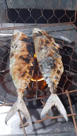 Ikan asin gembung bakar 