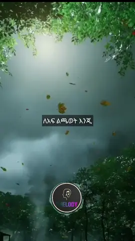 yefikir girma 👈#ethiopianmusic#zmelody#Ethiopia#lyrics#tsedany#habeshan#ethiopiantiktok 