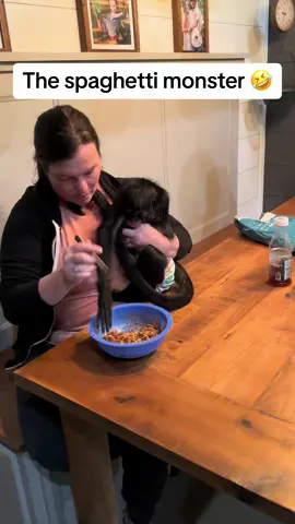 Rooster…the spaghetti loving spider-monkey🩵