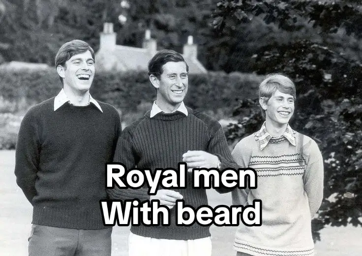 Royal men with beard #unitedkingdom #royalfamily #england #ukfamily #princephilip #kingchalesiii #princeandrew #princeedward #princewilliam #princeharry #peterphillips 