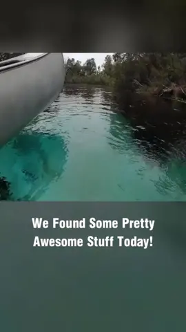 #underwater #treasurehunt #tiktokusa #fyp 
