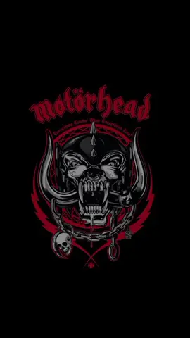 ROCK LEGENDS 🎸 🎧  #motorhead #lemmy #rock #video #musica #reels #rocklegend 